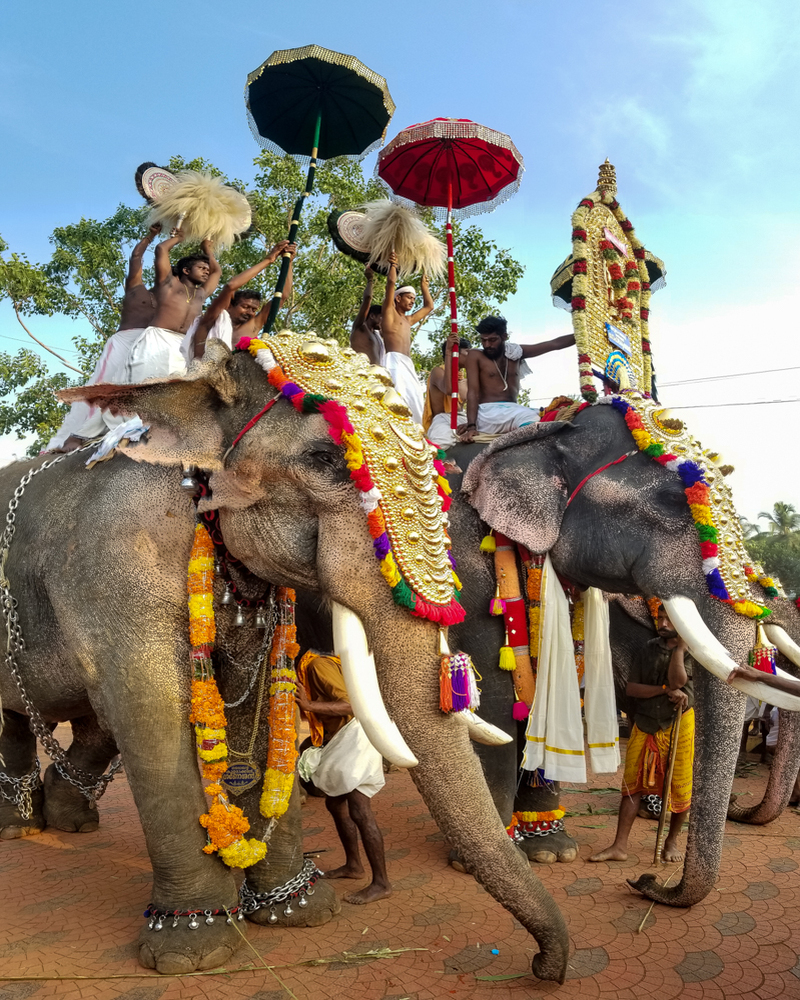 festival trips in India