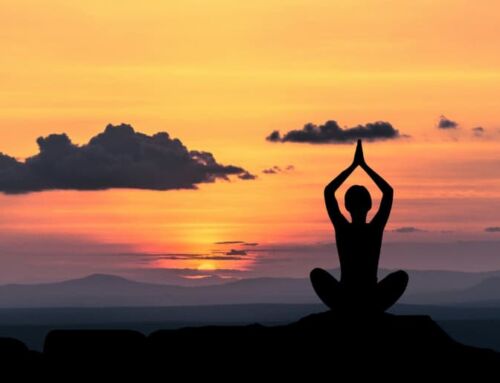 International Yoga Festival Guide
